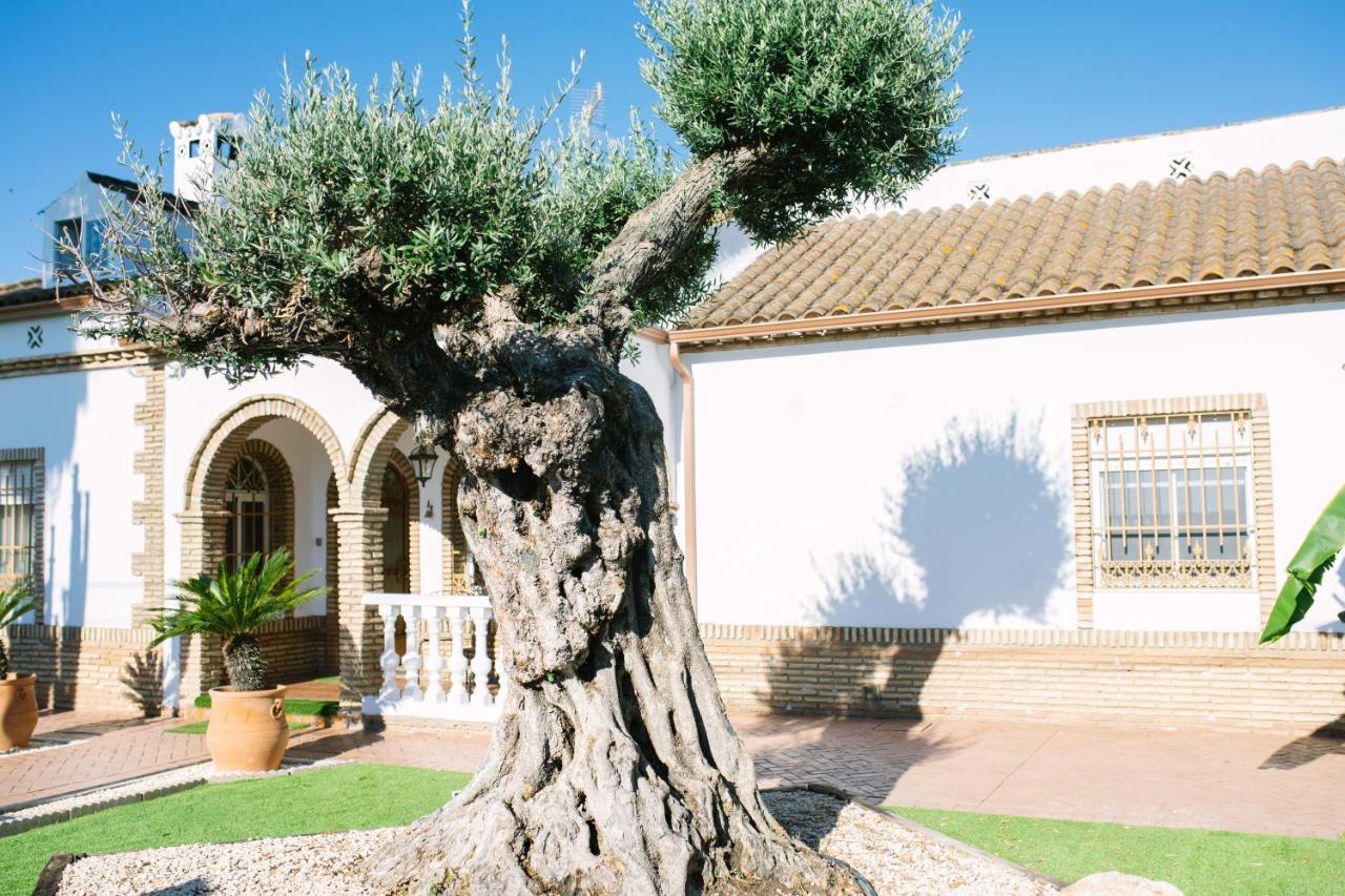 Gasthaus Casa Luxury "El Olivo De Cordoba" Con Jacuzzi Y Parking Privado Exterior foto
