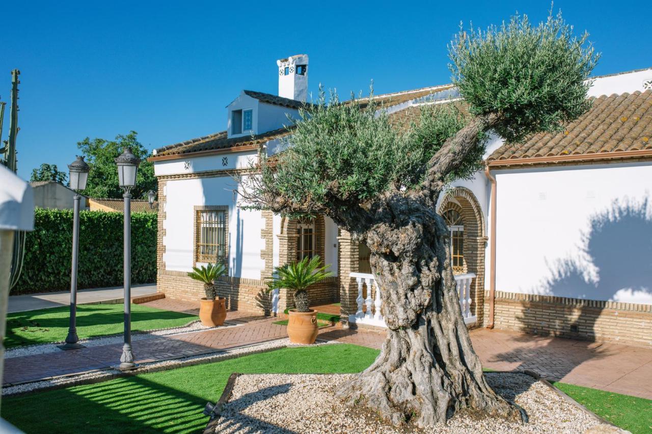 Gasthaus Casa Luxury "El Olivo De Cordoba" Con Jacuzzi Y Parking Privado Exterior foto
